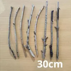 Item thumbnail for item 338a9306-1590-4ad9-8dfe-19ac78f890b4