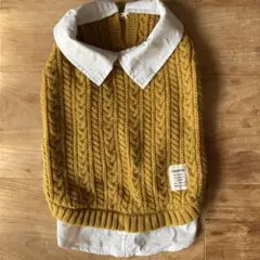 Item thumbnail for item 373a1fbe-1bf7-491b-a3e3-8814cbbd3e71