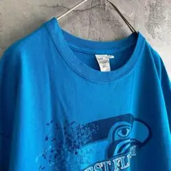 ギルダン 古着 イーグル アニマル アメリカ輸入 両面プリント Tシャツ 半袖