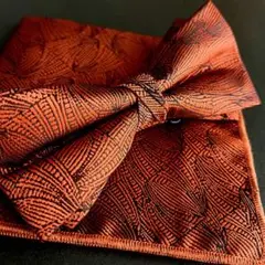 Item thumbnail for item 0f90ce6a-a2b0-40c4-8860-b1edcd5cb563