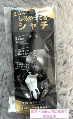 【新品未開封】さらに、しあがってるシャチ　須磨シーワールド　岩本照