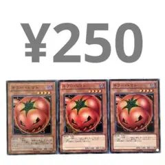 キラー・トマト【バラ売り可】