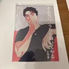 そんなに言うなら抱いてやる とらのあな 小冊子