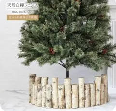 天然白樺フェンス クリスマスツリー用
