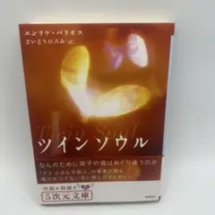 ツインソウル : なんのために双子の魂はめぐり逢うのか エンリケ・バリオス ツインソウル: なんのために双子の魂はめぐり逢うのか (5次元