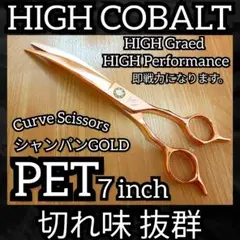 Item thumbnail for item 6d2b972b-b7bb-4af2-afea-a0b18baadecd