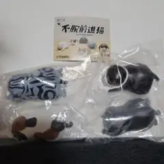 不服前進猫　4種セット