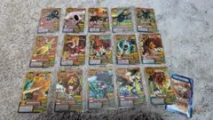 アニマルカイザー　海外版　英語版　プラッチックカード　セット