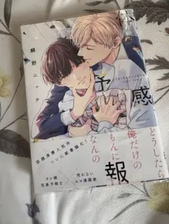 体感予報 鯛野ニッケ著
