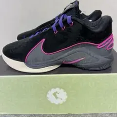 新品NIKE レブロン 22 トンネルビジョン バスケットシューズスニーカー26