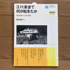 3.11津波で何が起きたか 被害調査と減災戦略