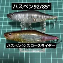 2025年最新】ハスペン 常吉の人気アイテム - メルカリ