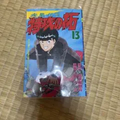 特攻の拓 13巻