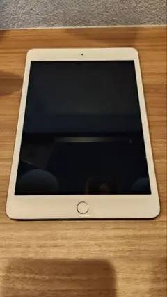 iPad mini 4 wifi cellular 本体