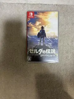 ゼルダの伝説 ブレス オブ ザ ワイルド
