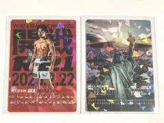 RIZIN ポテトスティック ポスターカード コレクション 2枚 朝倉未来