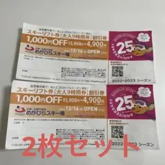 女鹿平温泉めがひらスキー場 リフト割引券 【大人9時間券】