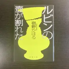 3 ルビンの壺が割れた