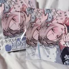 高嶺の花には欲がある アニメイト小冊子・リーフレット / 共通ペーパー2枚付き
