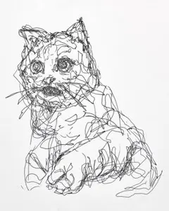 ペン画/猫/A4サイズ