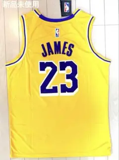 Item thumbnail for item 95b723d4-0ce3-4dc1-8f10-c71ce57358d8