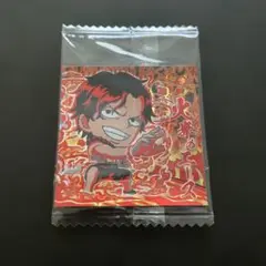 ワンピース ウエハース シール　エース