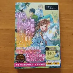 異世界で姉の名前を奪われました