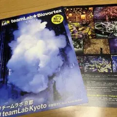 Item thumbnail for item afa5d9ae-d008-49c4-8fea-44194e4eb8aa