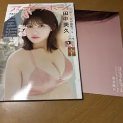 アップトゥボーイ2025年4月号 ポスター付き