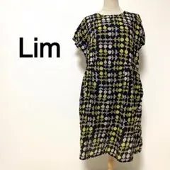 Item thumbnail for item 06464bbd-99a3-466f-be2a-83cf8b9f8e46