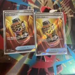 パワープロテインSR2枚セット