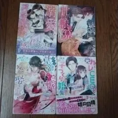 TL小説 4冊セット