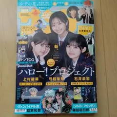 Item thumbnail for item 2706cb37-2fe1-4d33-93b7-fe29a22901ad