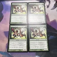 野生のナカティル Wild Nacatl JP 4枚セット