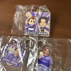 仙波大志　サンフレッチェ