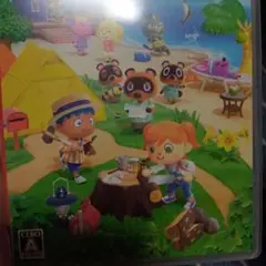 あつまれ どうぶつの森 Nintendo Switch