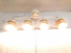 Item thumbnail for item 39213128-9181-4254-9aa7-578cd1091263