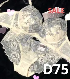 D75 ノーブルビューティーローズ育乳脇高ブラジャー&透けフルバックショーツ