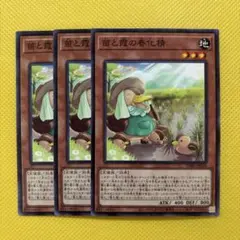 遊戯王 苗と霞の春化精 3枚セット