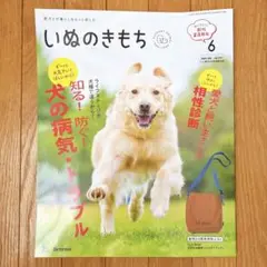 Item thumbnail for item c3ff33cd-9561-4993-9ddb-5f6ab083fd46