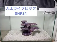 人工ライブロック No.23 アク抜き済 2025年最新】ライブロック セメントの人気アイテム - メルカリ