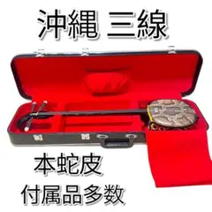 Item thumbnail for item 7f3d86c3-e065-4d08-ac35-df7b28234b8a