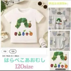 ◯新品・未使用人気シリーズ　はらぺこあおむし　Tシャツ☆ 120size残り数枚