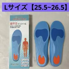 インソール 衝撃吸収 中敷き 偏平足 立ち仕事 Lサイズ【25.5~26.5】