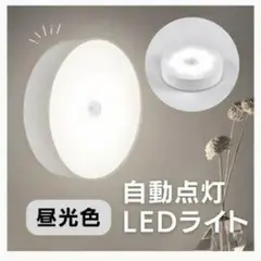 ライト