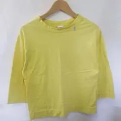Item thumbnail for item 87c1fef7-d0e3-4e00-ba37-50136b5ca144