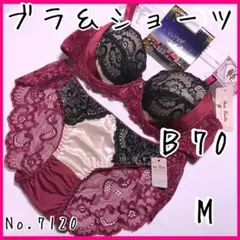 ブラジャーショーツセットB70 No.7120