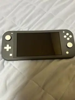 Nintendo Switch Lite グレー 本体ジャンク品