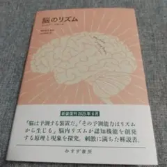 脳のリズム