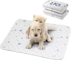 Item thumbnail for item 63c9251e-29cc-4815-aaf5-0d4088f89b53